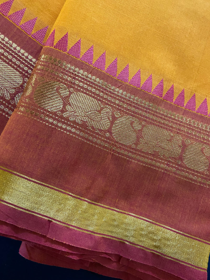 chettinad cotton saree - festive yellow & pink gold border
